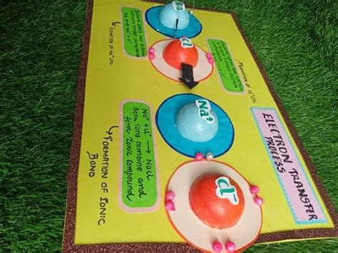 Electron Transfer Process Model At ₹ 500 In New Delhi Id 2854361369888