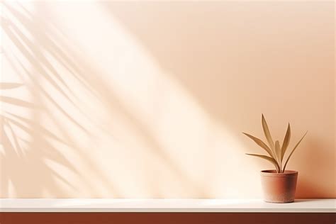 realistic  minimalist natural wall graphic  sakibbddot