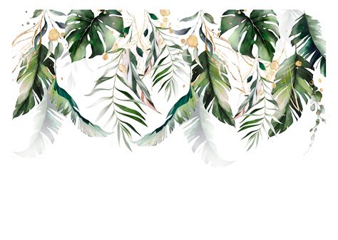 Fototapeta Li Cie Palmy Monstera Natura X Fototapeta Do Sypialni