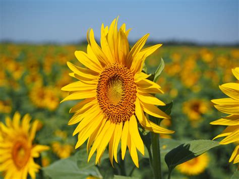 Unsere 10 Sommer-Highlights in München - Around About Munich