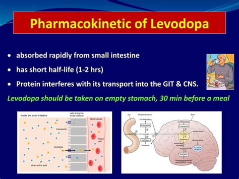 Antiparkinsonian Drugs Full Lecture PPT