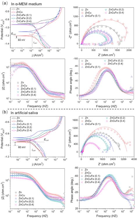 Potentiodynamic Polarization Pdp Curves And Electrochemical Impedance