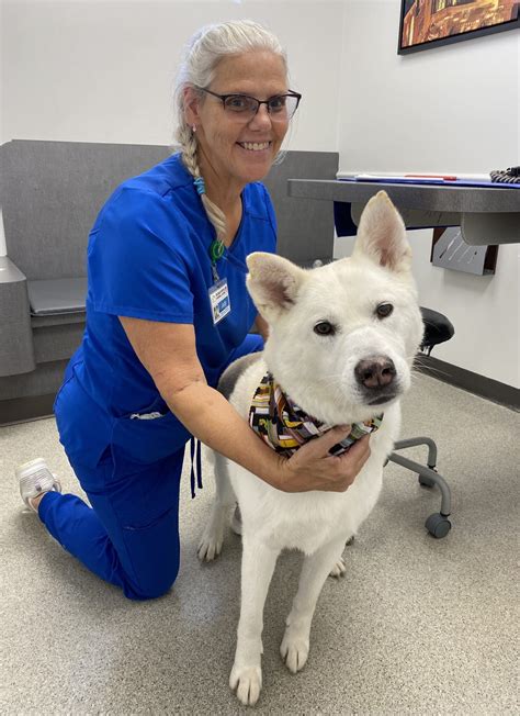 waldo animal clinic 6