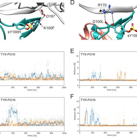 Key Interactions Of Pg16 Residues K100f And D100l A Intermolecular