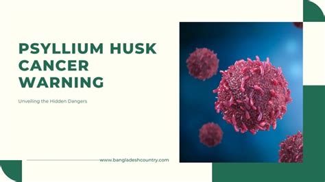 Psyllium Husk Cancer Warning Unveiling The Hidden Dangers