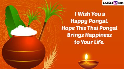 Thai Pongal Wishes And Greetings Whatsapp Messages Quotes