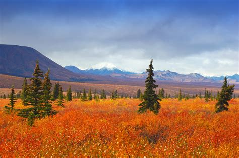Denali National Park And Preserve Alaska Travel Alaska