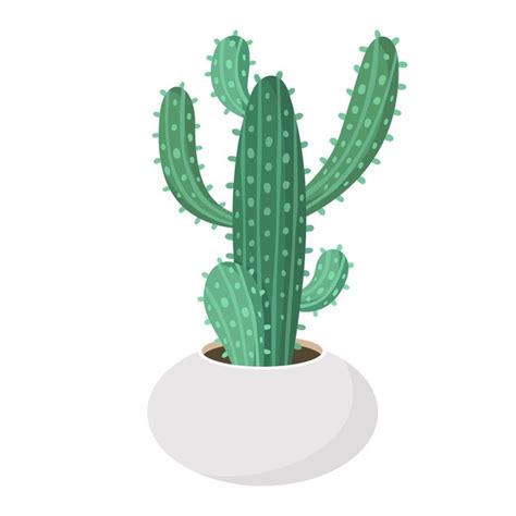 Cactus Y Suculentos En Maceta Dom Sticos Ilustraci N Vectorial De