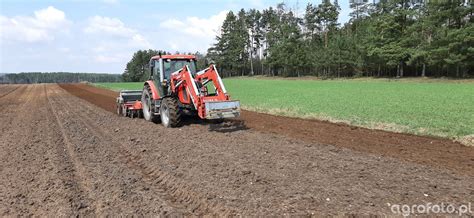 Zdj Cie Traktor Zetor Proxima Plus Grano Shark Poznaniak