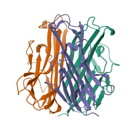 RCSB PDB 1JTZ CRYSTAL STRUCTURE OF TRANCE RANKL CYTOKINE