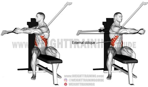 seated chest press machine muscles worked - Richie Rosado