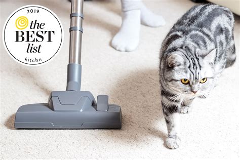 Best Cheap Vacuum on Amazon: Bissell Featherweight Vacuum Review | The