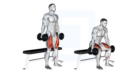 Dumbbell Bench Squat Guide Benefits And Form