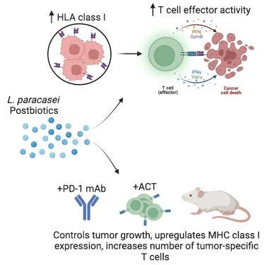 I Hla Cancer Cell X Mol