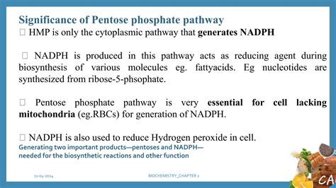 Biochemistry Carbohydrate Metabolism Chapter 2pptx