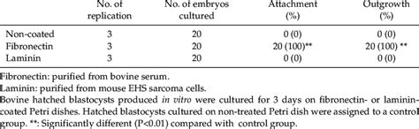 Effect Of Fibronectin Or Laminin On In Vitro Attachment And Outgrowth