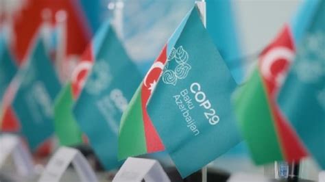 COP29 Baku: What is climate finance, and the relevance of Baku summit ...