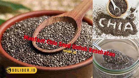 Temukan 10 Manfaat Chia Seed Untuk Kesehatan Yang Jarang Diketahui