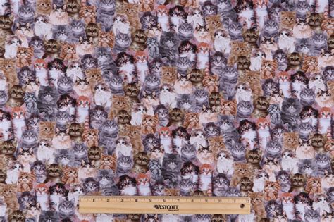 Timeless Treasures Quirky Cats Packed Realistic Cats Printed Cotton