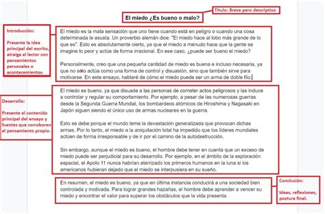 Ejemplos Prácticos De Ensayos Con Normas Apa Para Aprender