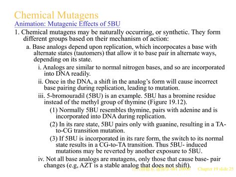 ch supplementary mutationppt
