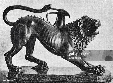 1619 Chimera Animal Stock Photos High Res Pictures And Images