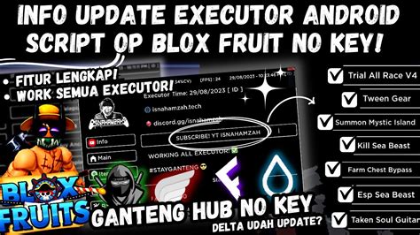 Update Blox Fruit Script No Key Info Update Executor Android