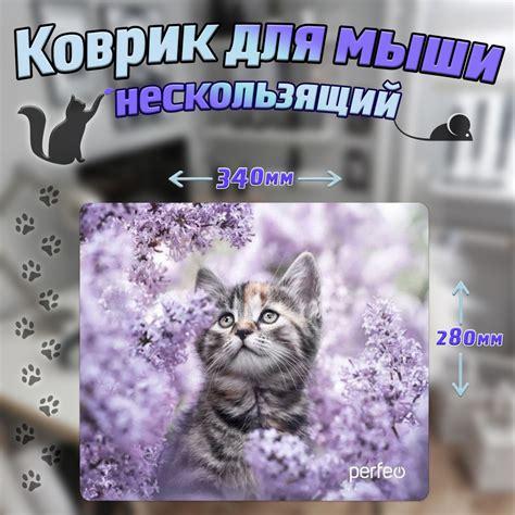 Коврик для мышки прорезиненный / ковер для мыши 340*280 с котенком ...