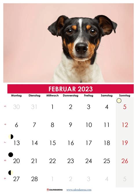 Kalender Februar 2023 Zum Ausdrucken Österreich