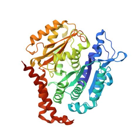 RCSB PDB 9BP6 Structure Of Alpha1B And BetaI IVb Microtubule Bound