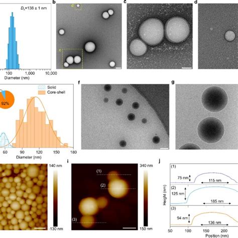 Characterization Of Plga Nps A Size Distribution Of Plga Nps Download Scientific Diagram