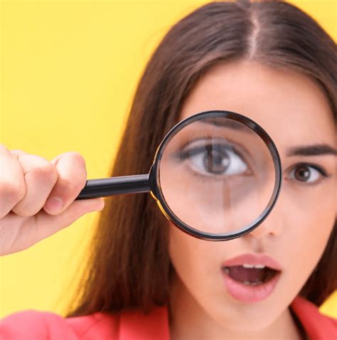 Personality Colours An Easy Way To Code Behavioural Preferences