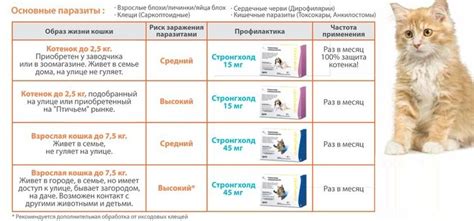 4 вида вакцин для кошек, а также прививка от блох, как делают укол?