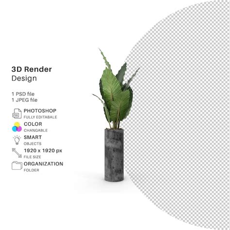 Premium Psd Realistic Indoor Plant For Interior Decoration
