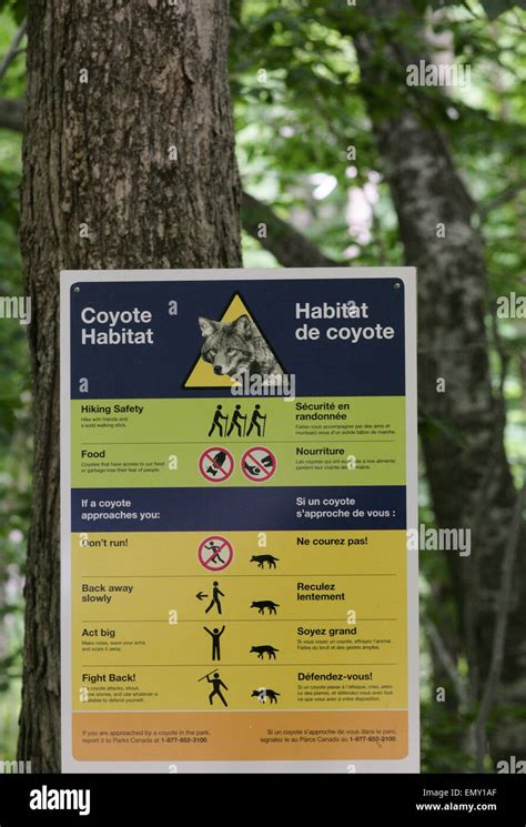 Coyote Warning Sign Hi Res Stock Photography And Images Alamy