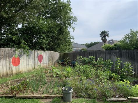 Grow Your Own Backyard Garden Hubpages