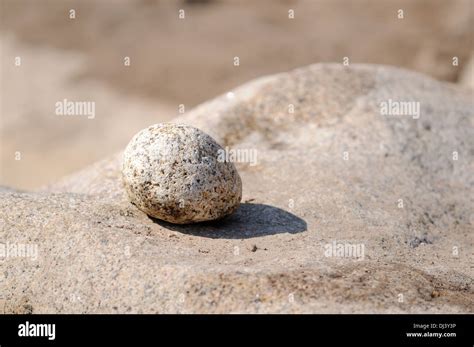 Stone of Stone Stock Photo - Alamy