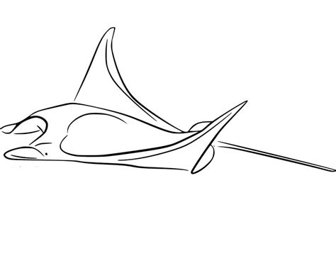 Manta Ray Coloring Pages Free Printable Coloring Pages For Kids
