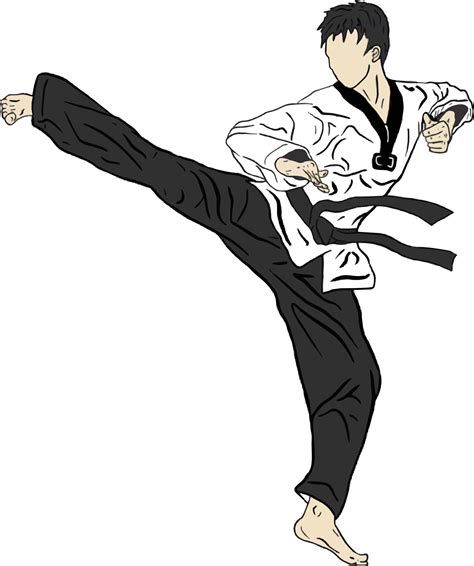 Taekwondo Vector Kick Pose And Technique 8630711 Vector Art At Vecteezy