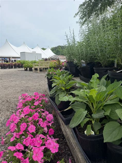 Historic Greenbrier Farms... - Historic Greenbrier Farms