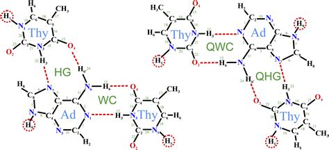 Crystallographic Evidence Of WatsonCrick Connectivity In The Base Pair