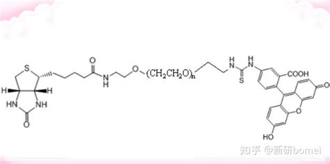 Fitc Peg Biotinbiotin Peg Fluorescein荧光素peg生物素生物标记物用试剂 知乎