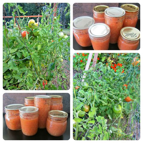 4Eighteen: Tomato Soup - Canning Recipe