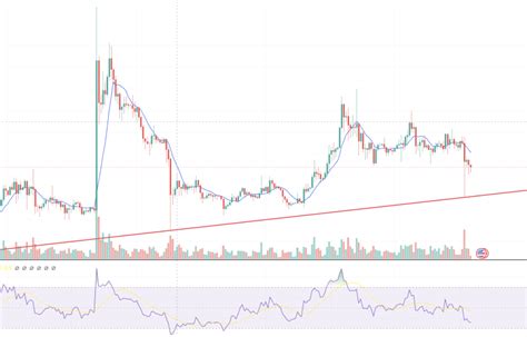 리플 Xrp 코인 전망 그레이스케일 라지캡 펀드 편입 호재 Bitcoinxxo