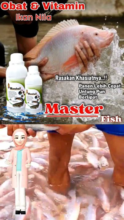 La Probiotik Multivitamin Ikan Nila Lele Gurame Gabus Master Fish Isi