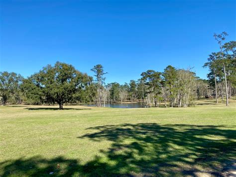Encounter Historic Quail Hunt Plantations in Thomasville GA