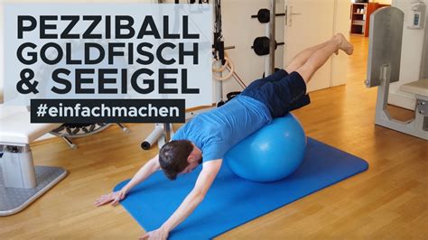 Goldfisch Und Seeigel Ganzk Rper Bung Auf Dem Pezziball Youtube