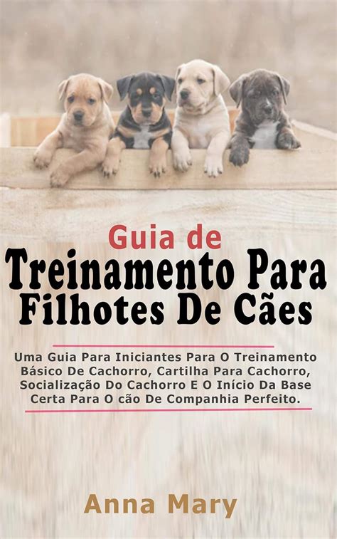 Guia De Treino Para Filhotes De Cachorro A Guia Para Principiantes