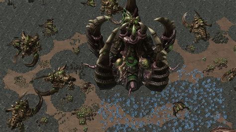 Starcraft 2 Zerg In Real Size Youtube