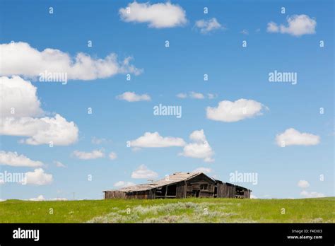 Usa Montana Chouteau County Old Homestead Stock Photo Alamy